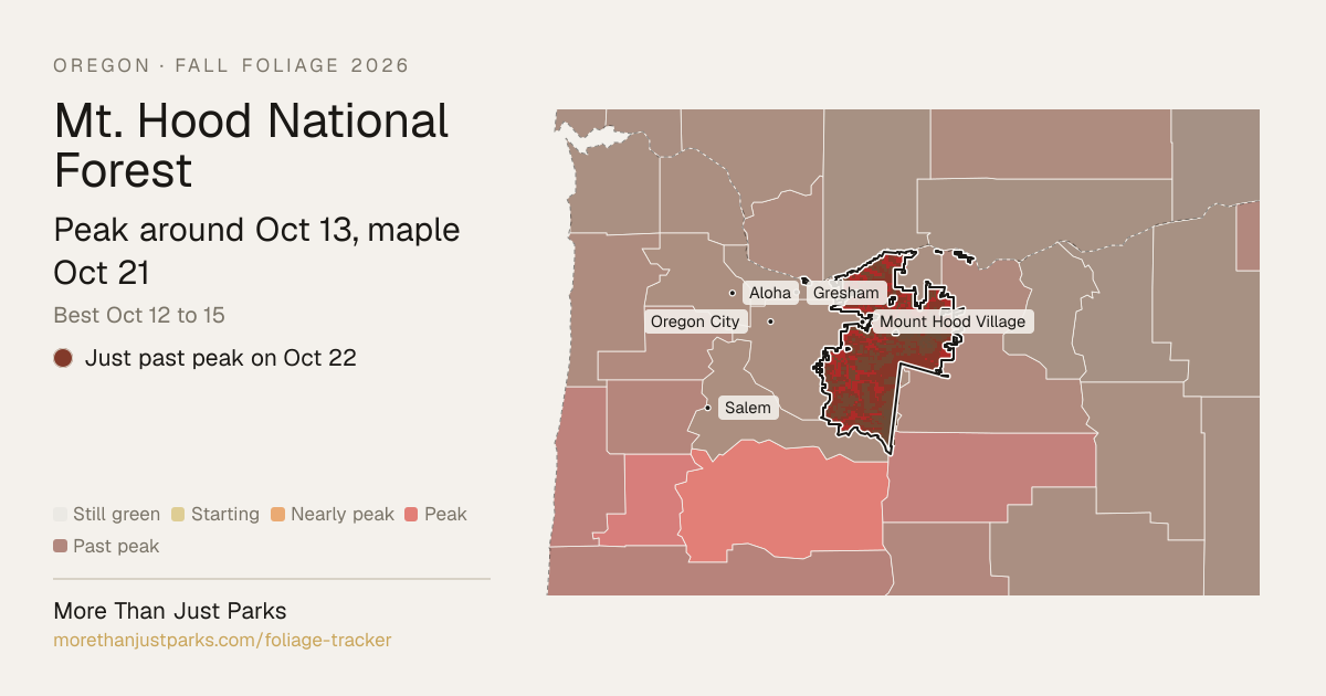 Mt. Hood Fall Foliage 2026: Peak Week and What's Turning Now | More