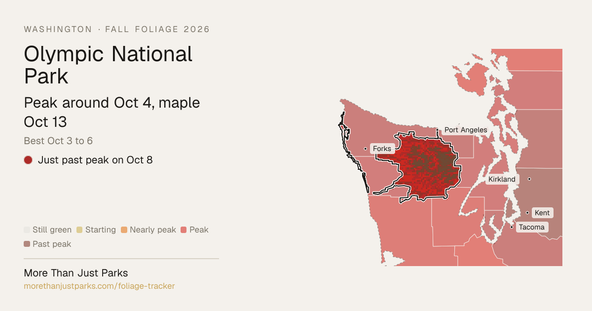 Olympic Fall Foliage 2026: Peak Week and What's Turning Now | More Than ...