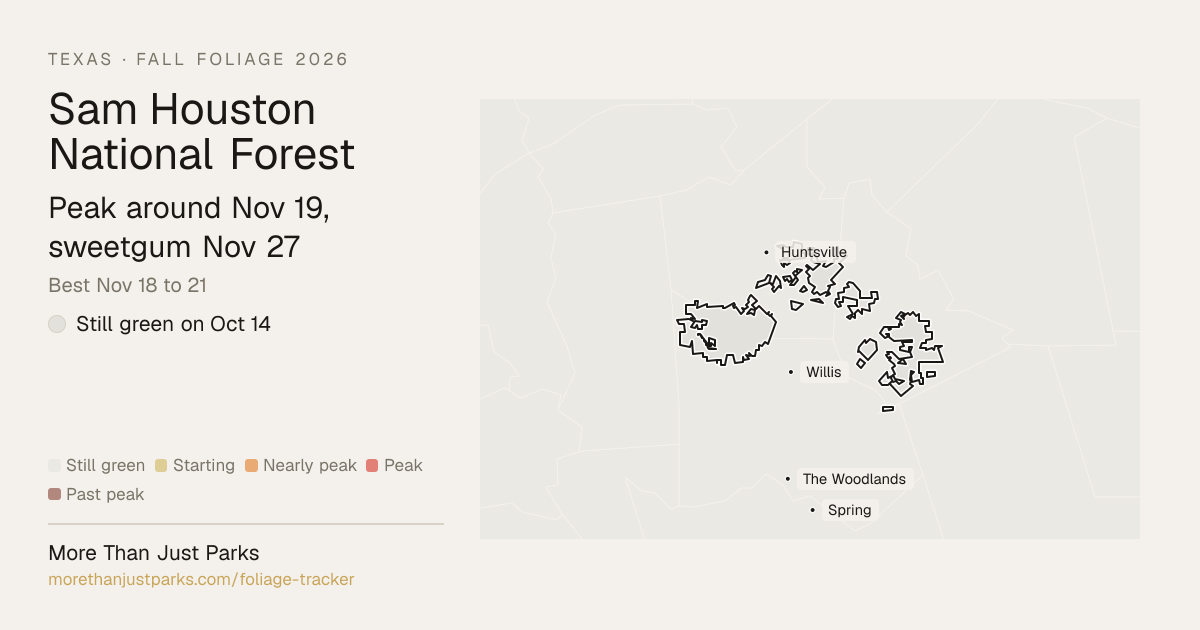 Sam Houston Fall Foliage 2026: Peak Week, What's Turning Now | More ...