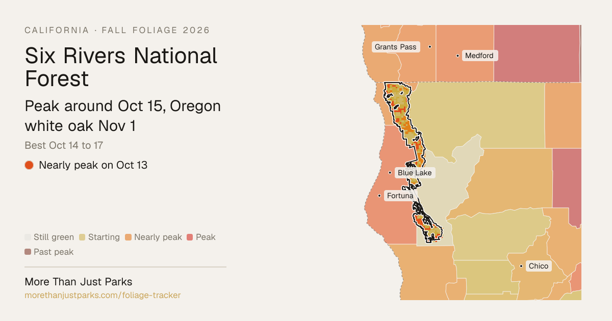 Six Rivers Fall Foliage 2026: Peak Week, What's Turning Now | More Than ...