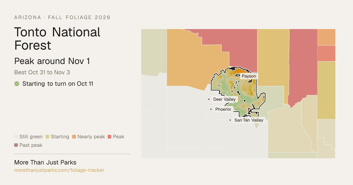 Tonto Fall Foliage 2026: Peak Week and What's Turning Now | More Than ...