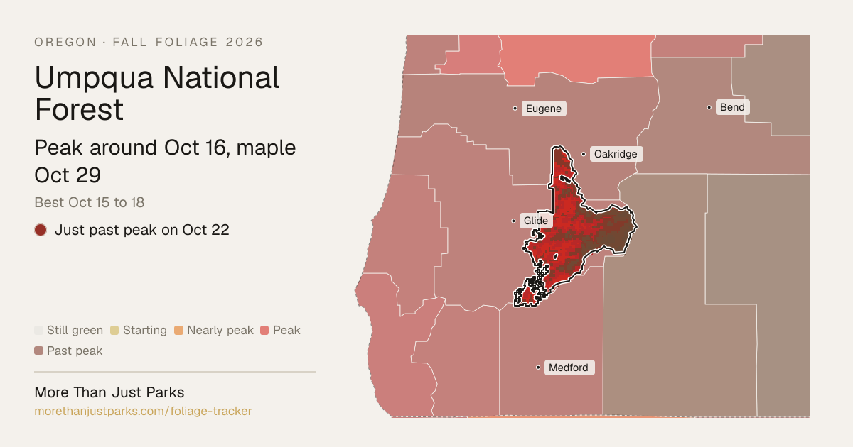 Umpqua Fall Foliage 2026: Peak Week and What's Turning Now | More Than