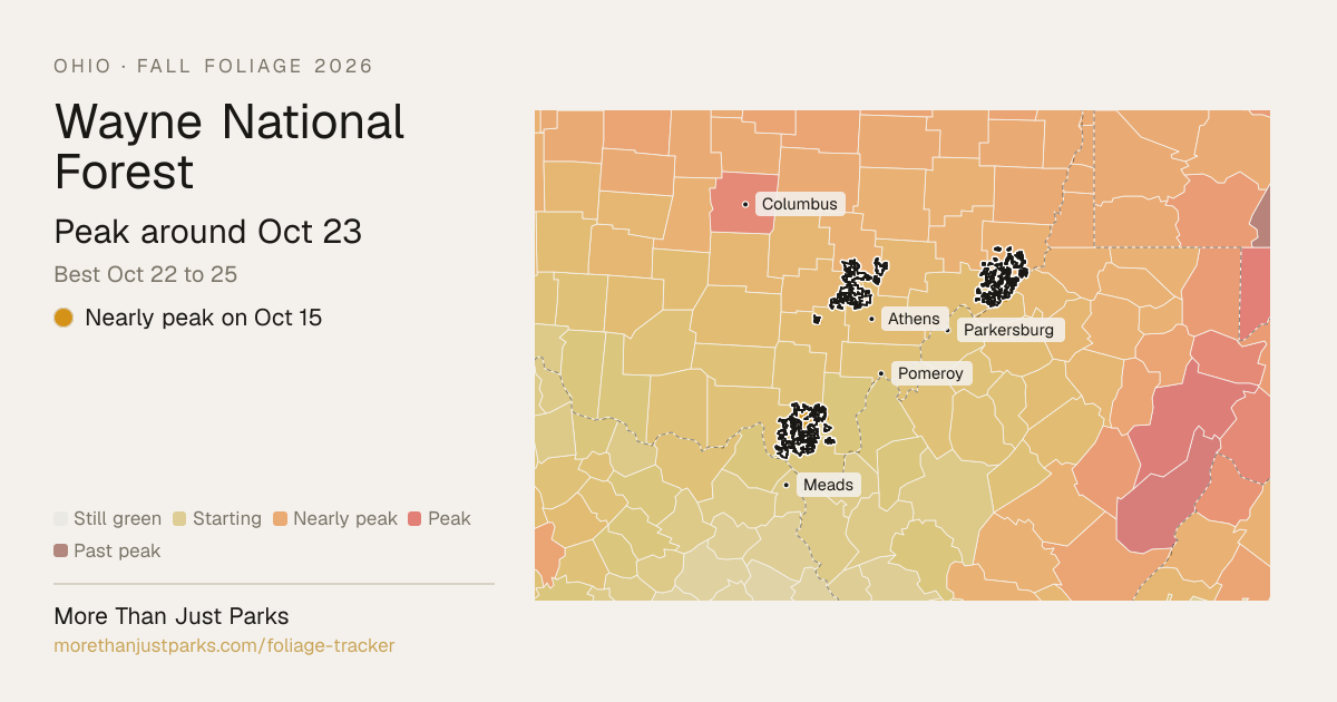 Wayne Fall Foliage 2026: Peak Week and What's Turning Now | More Than ...