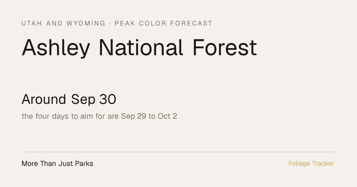 Ashley National Forest Fall Foliage: 2026 Peak Color Forecast | More ...