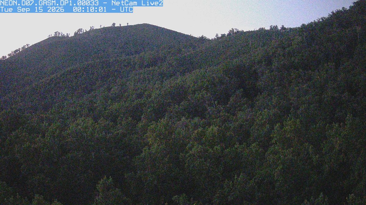 Nantahala National Forest Fall Foliage: 2026 Peak Color Forecast | More ...