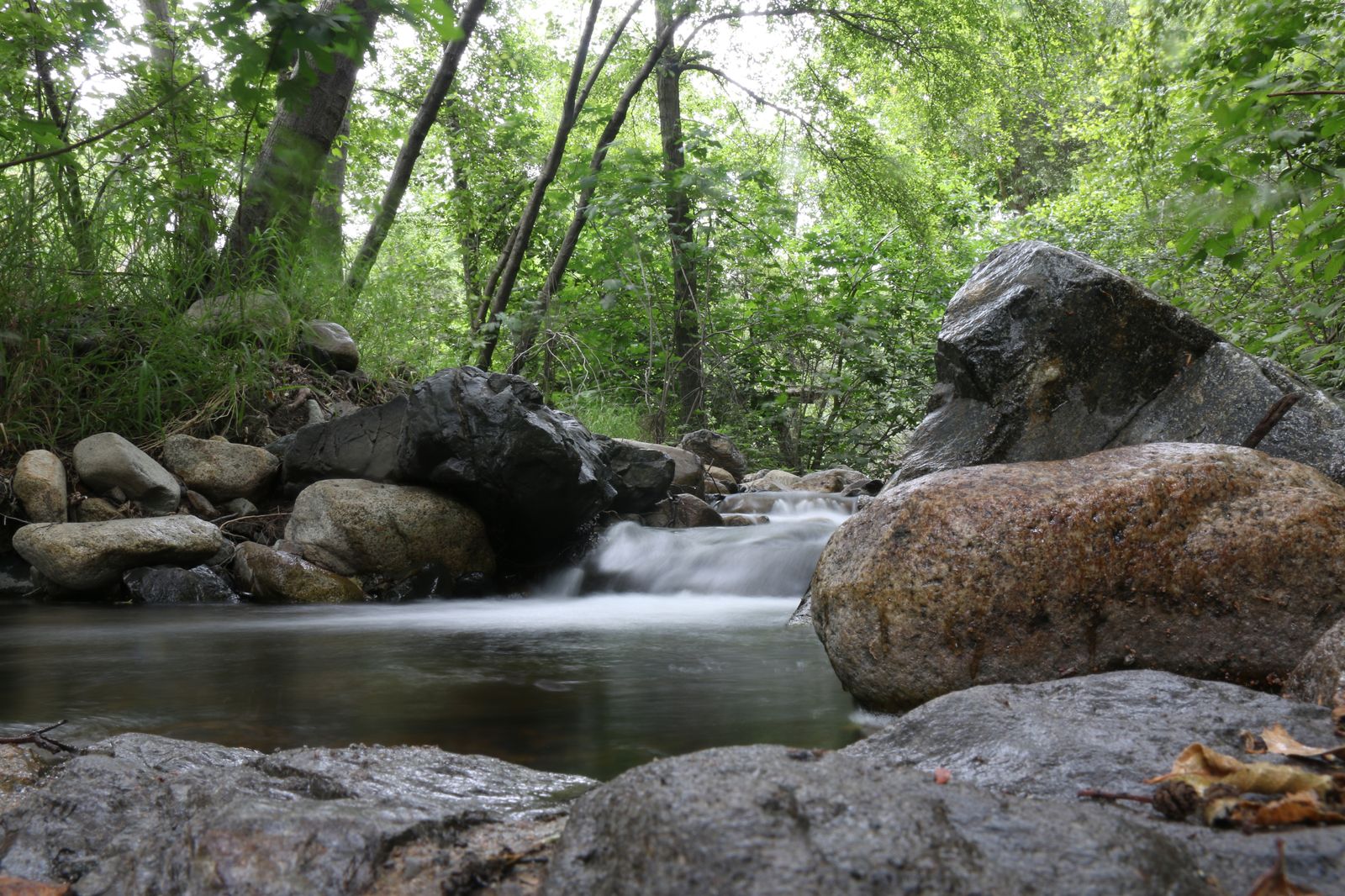 Trabuco Creek, Cleveland National Forest, California (U.S. Fish and Wildlife Service photo)