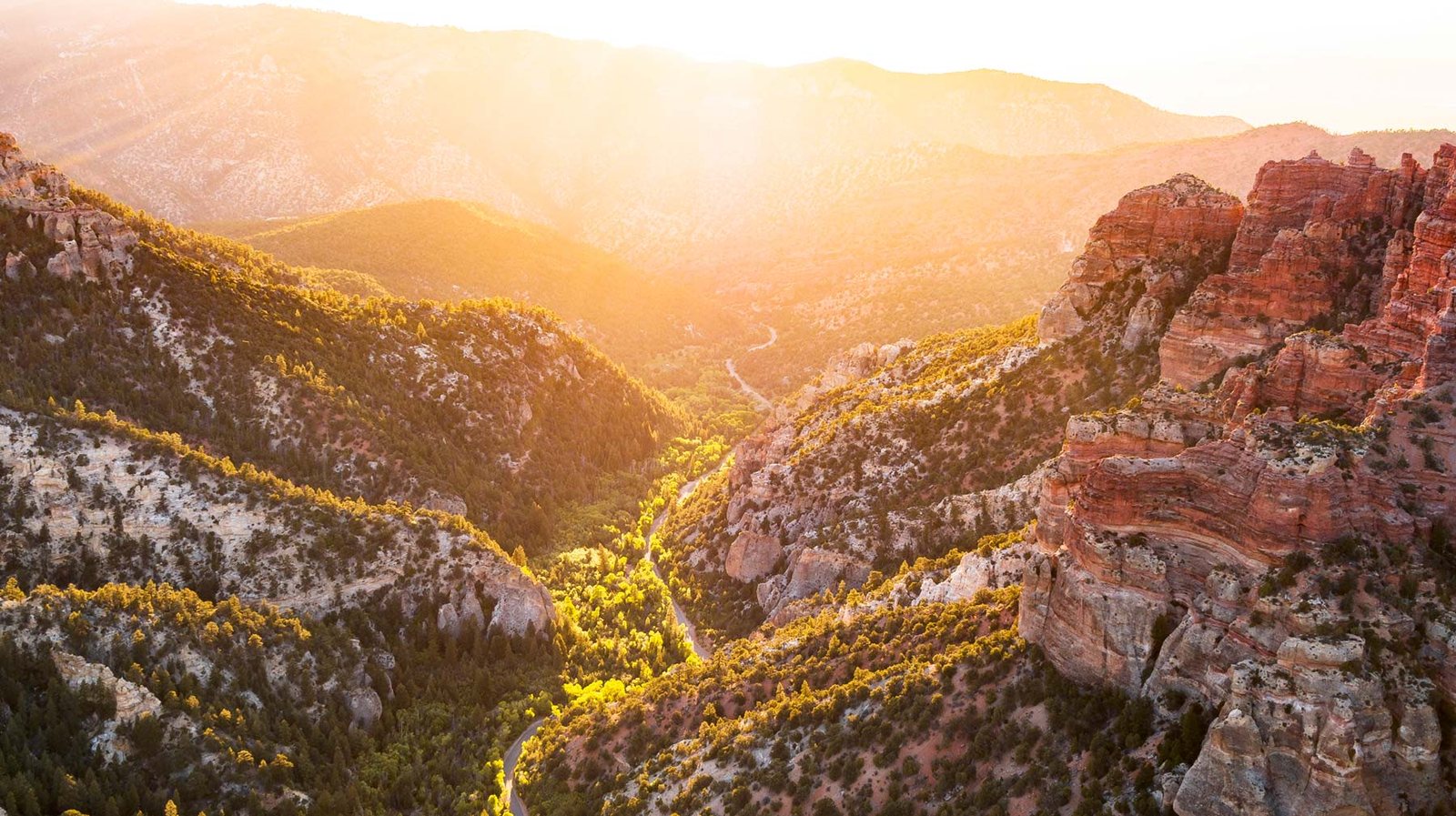 Red rock and forest from the air at sunset, Dixie National Forest, Utah