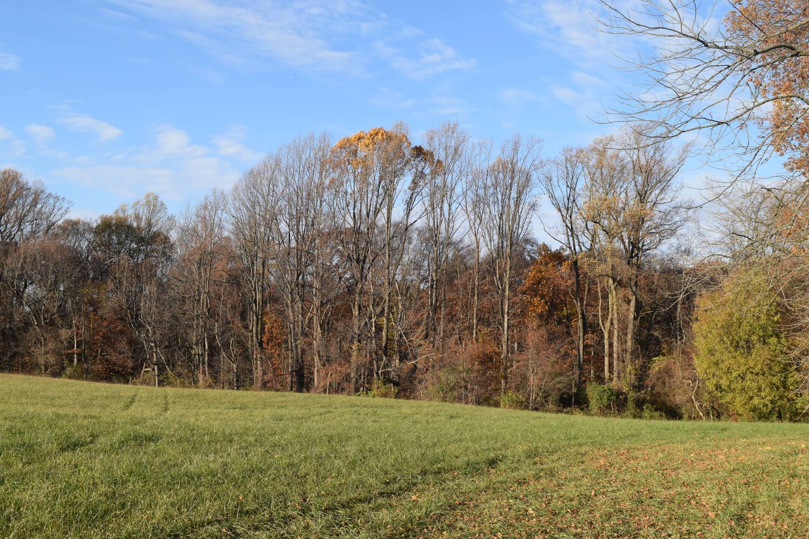 Meadow and autumn woods in the Brandywine Valley, First State National Historical Park, Delaware (NPS photo)