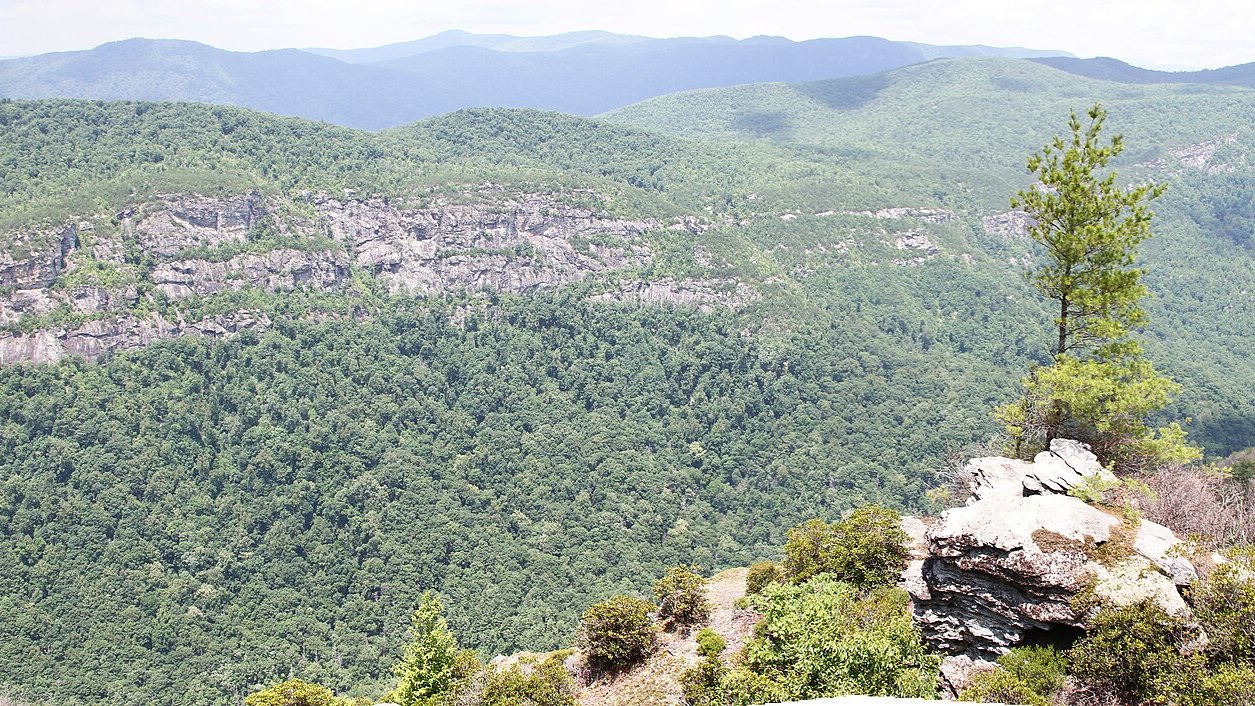 Linville Gorge from the rim, North Carolina (U.S. Fish and Wildlife Service photo)