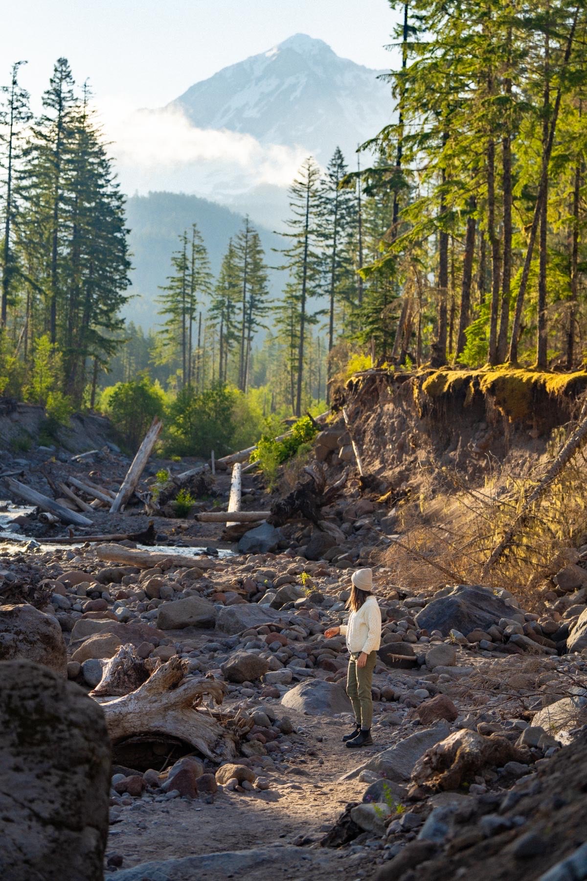 Gifford Pinchot National Forest, Washington