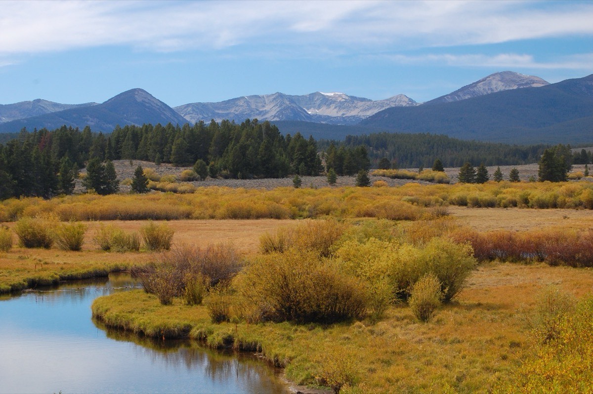 Beaverhead-Deerlodge NF