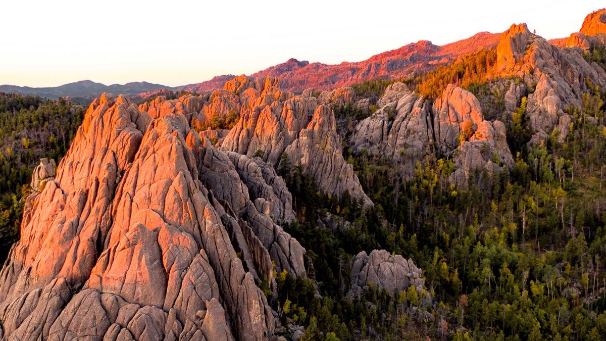 Black Hills National Forest