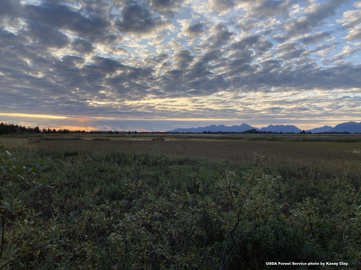 Copper River Wetlands