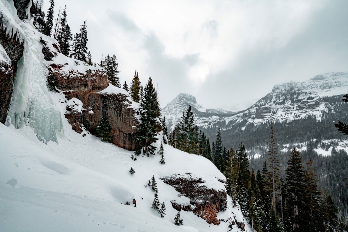 Custer Gallatin National Forest