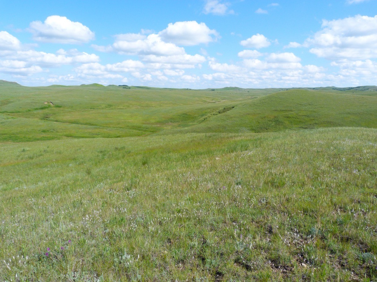 Dakota Prairie Grasslands