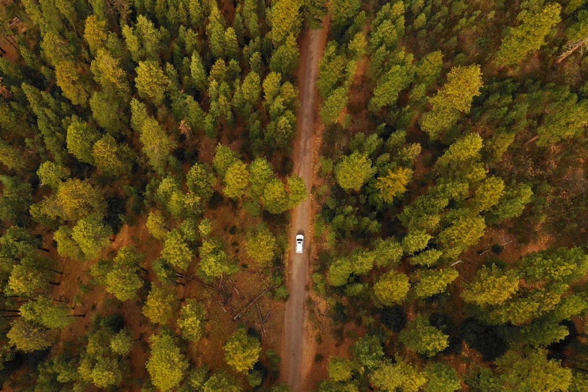 Deschutes National Forest