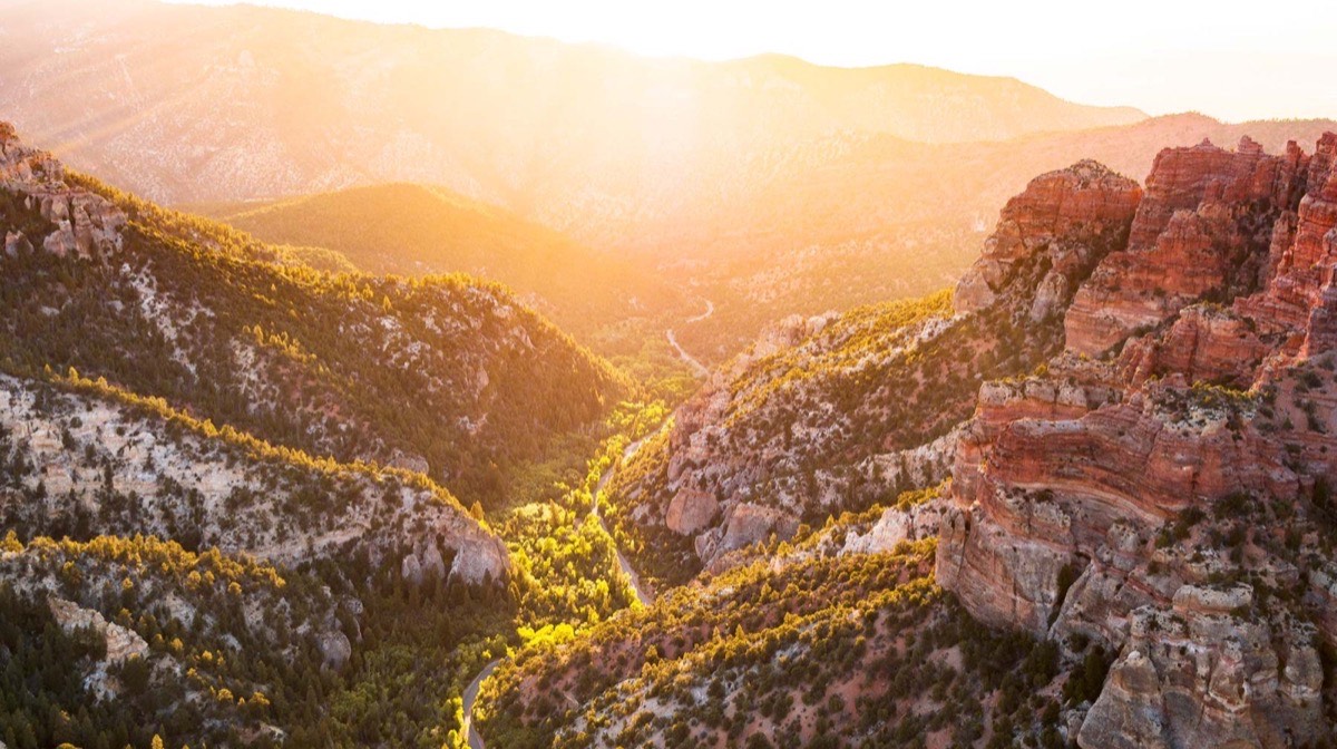 Dixie National Forest