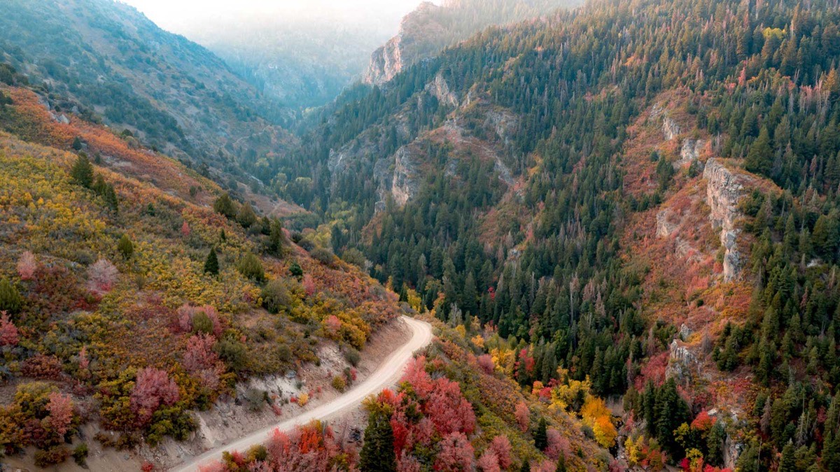 Fishlake National Forest