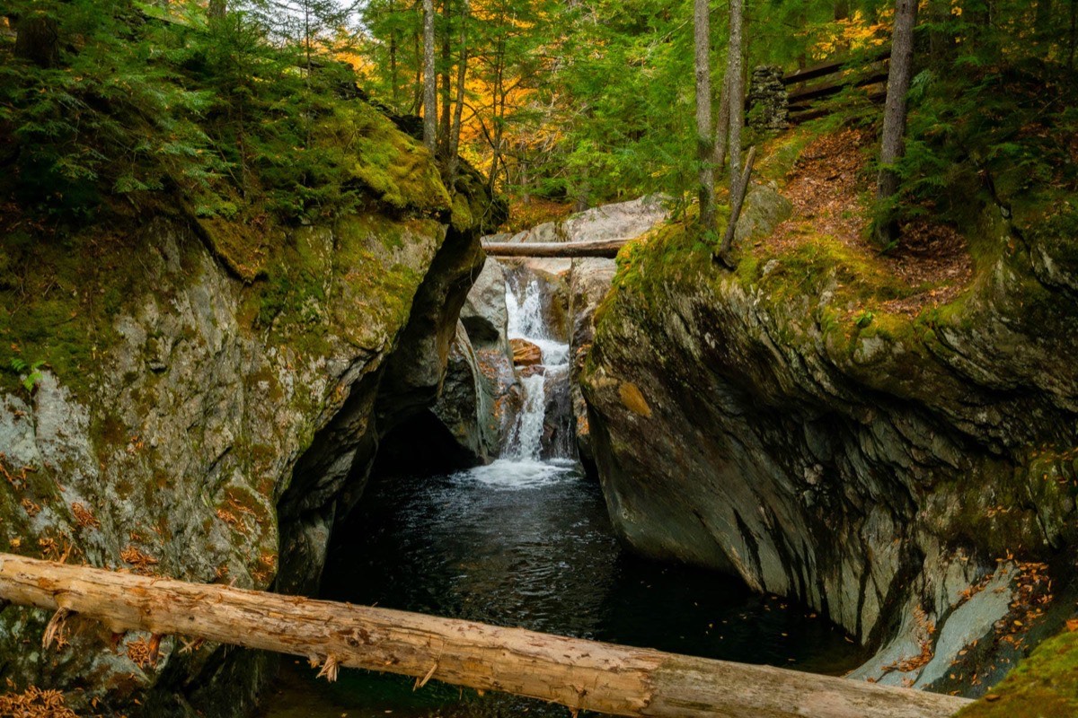 Green Mountain and Finger Lakes National Forests