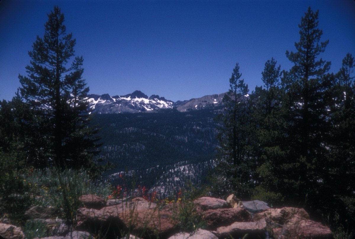 Inyo National Forest