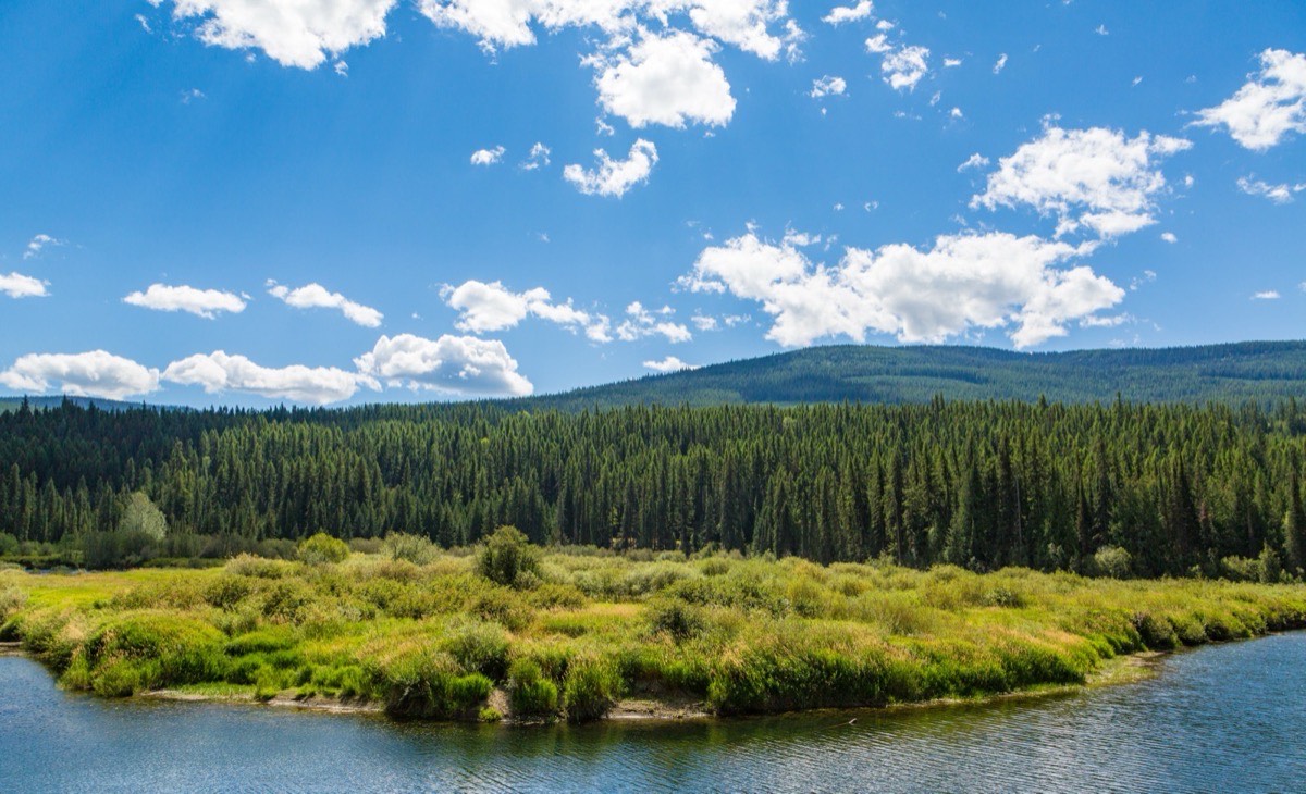 Kootenai National Forest