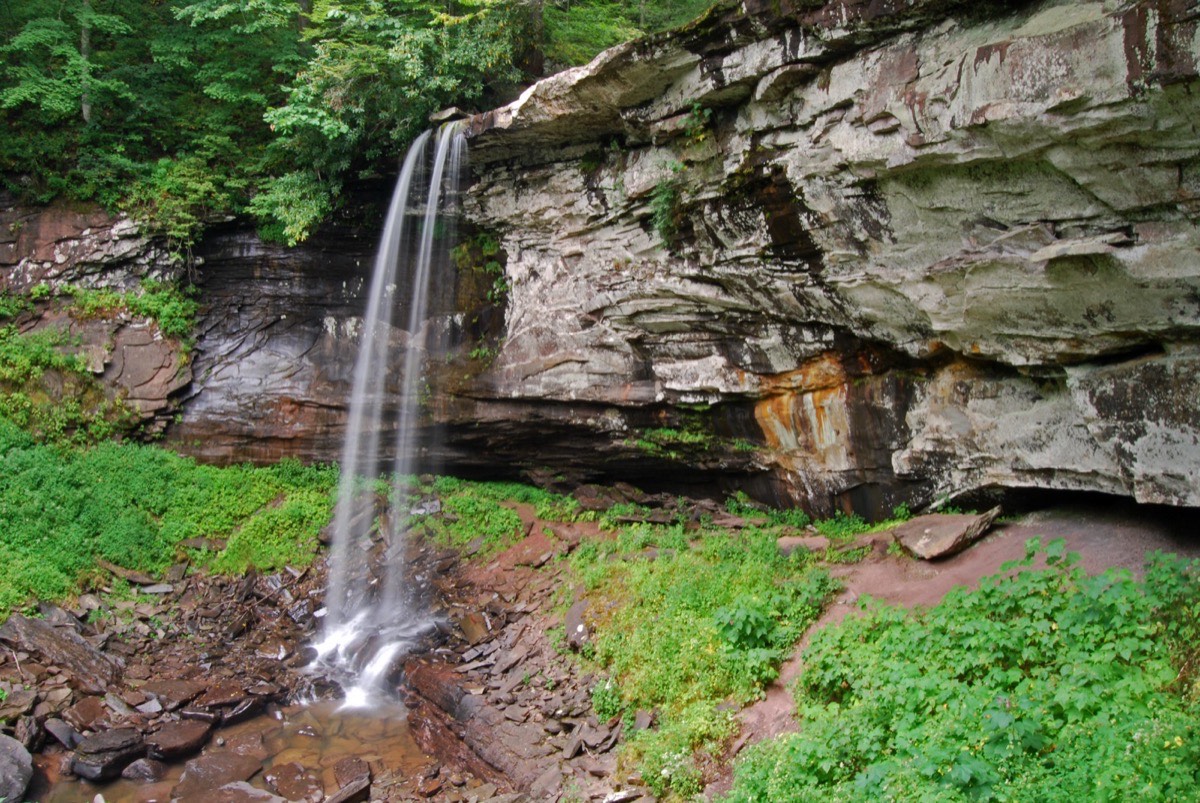 Monongahela National Forest