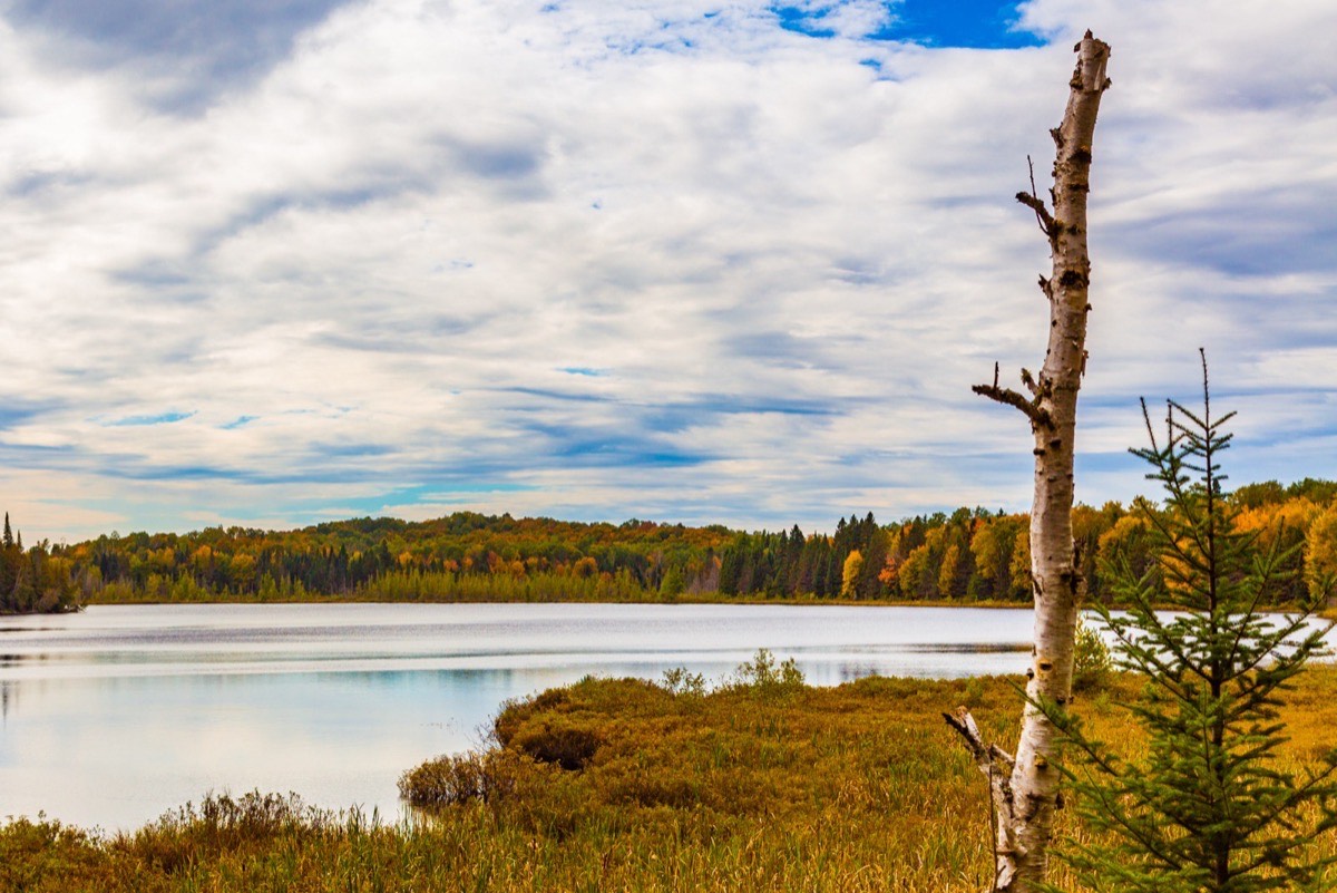 Ottawa National Forest