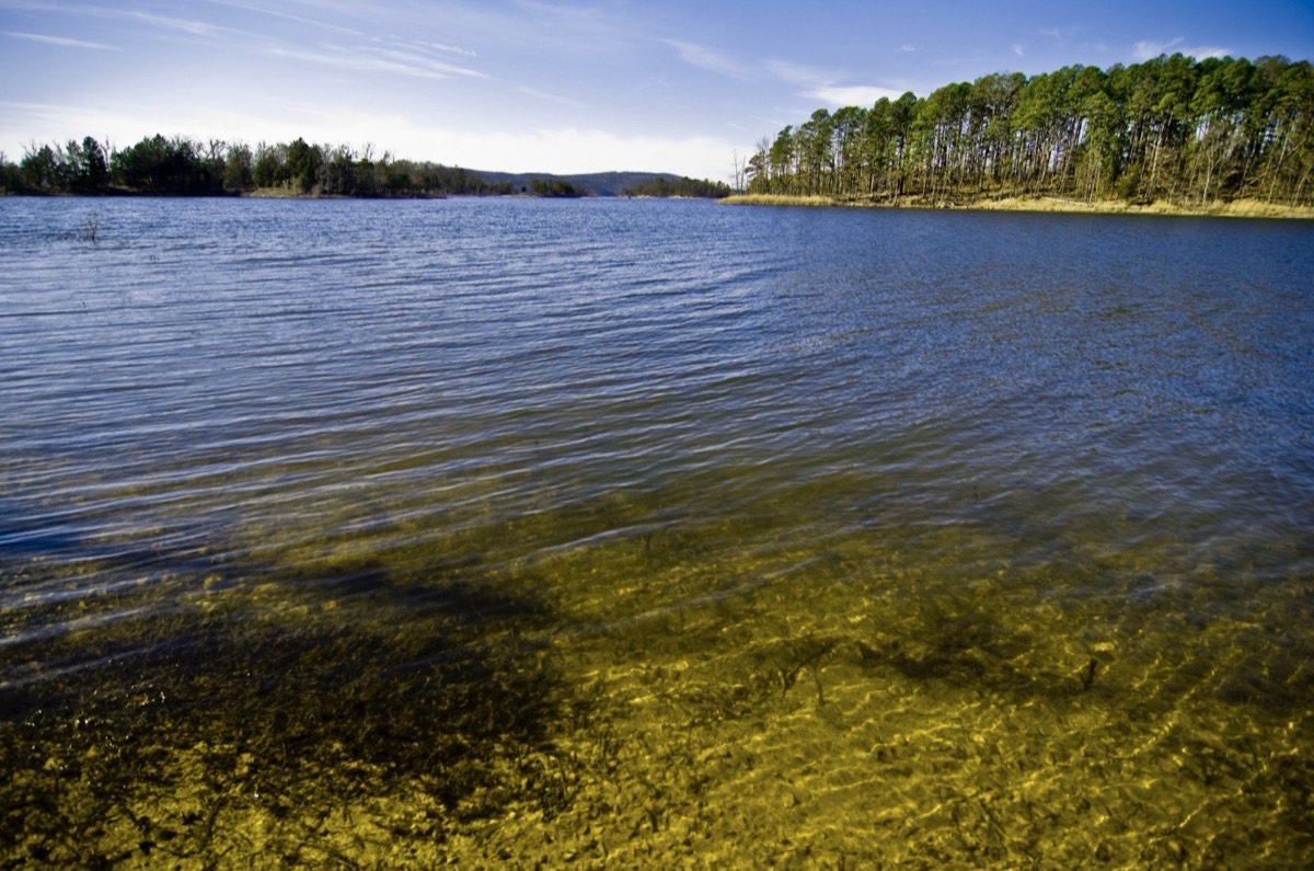 Ouachita National Forest