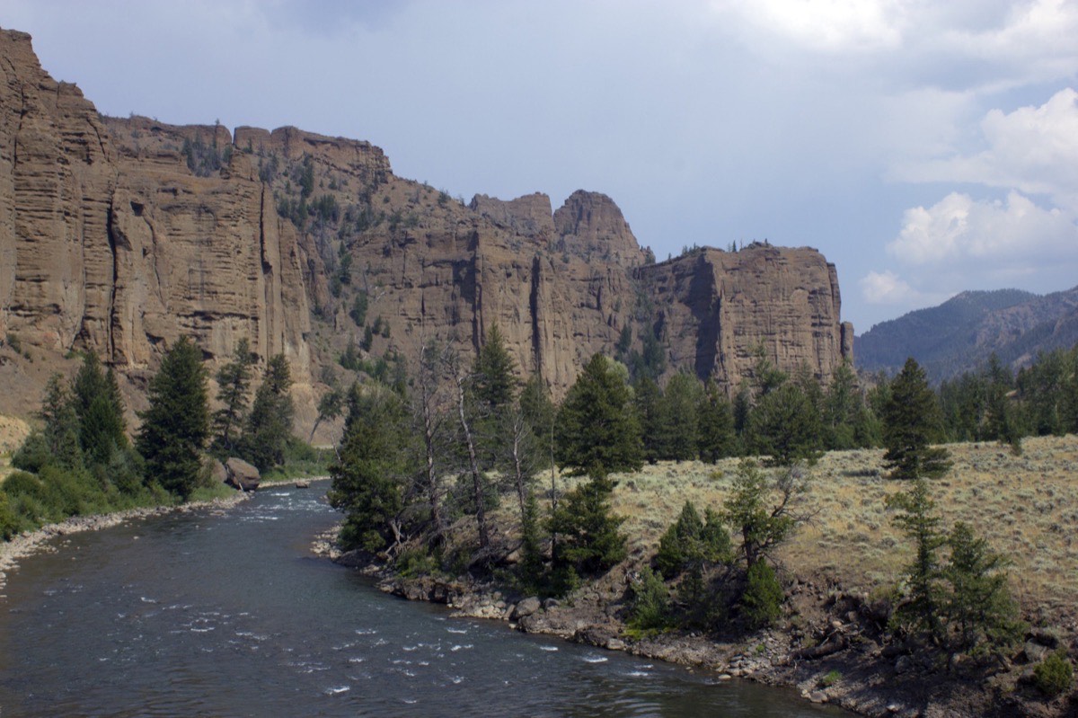 Shoshone National Forest