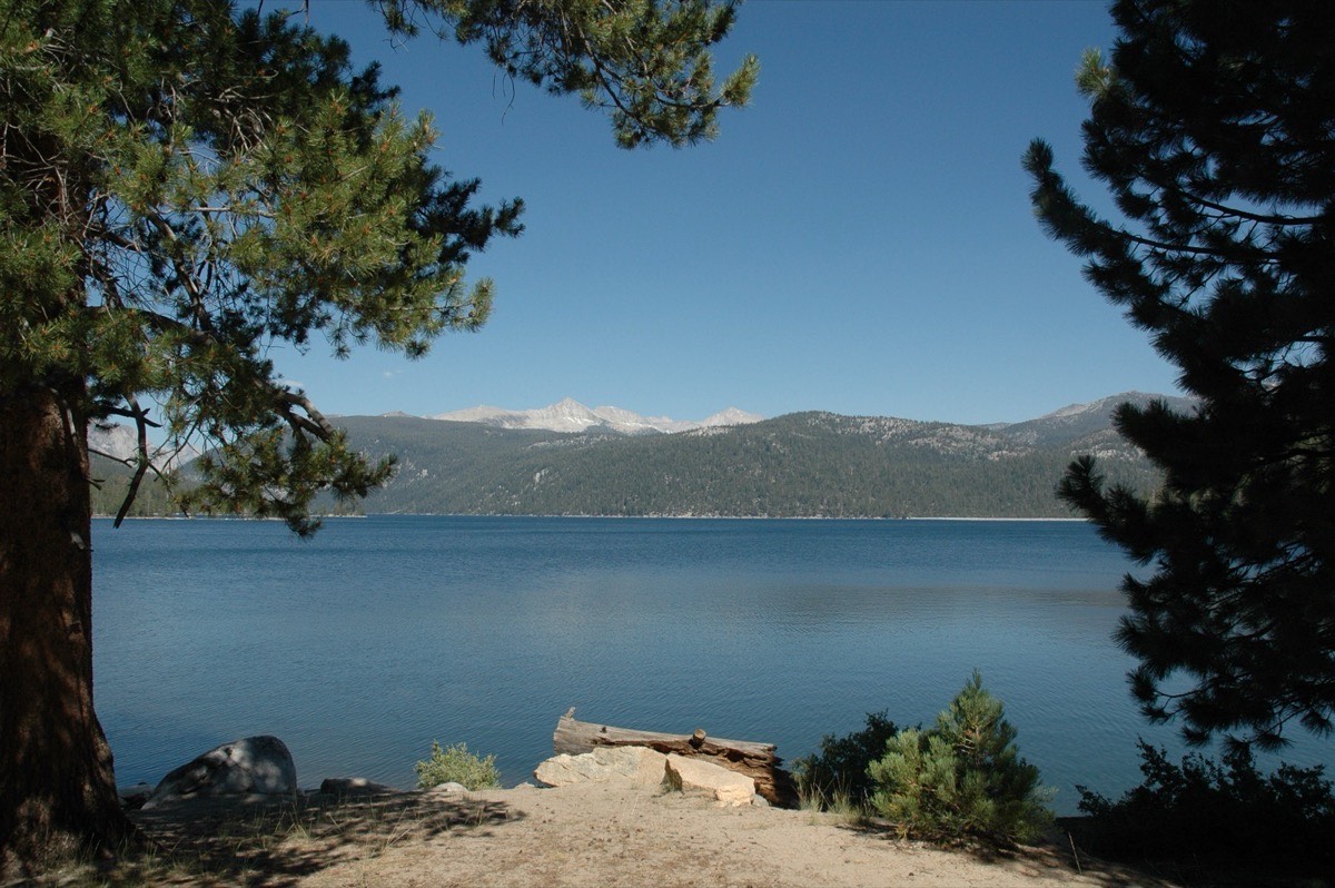 Sierra National Forest