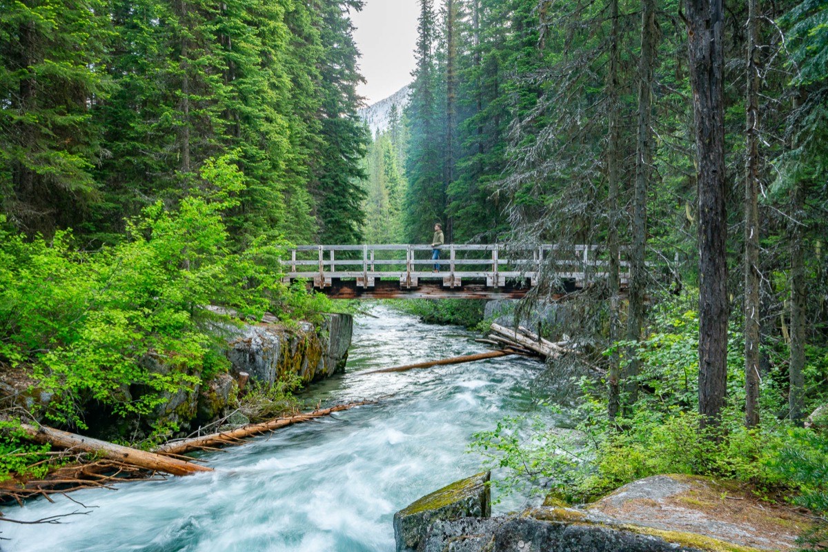 Wallowa-Whitman National Forest