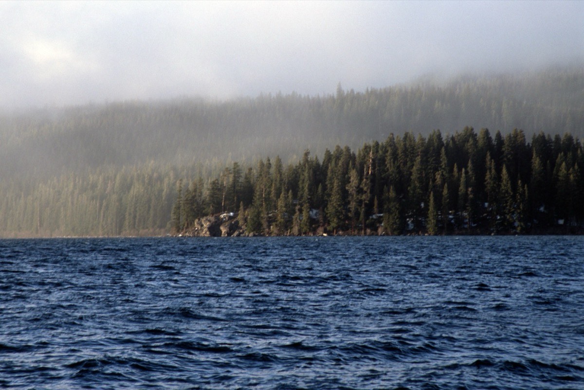 Willamette National Forest