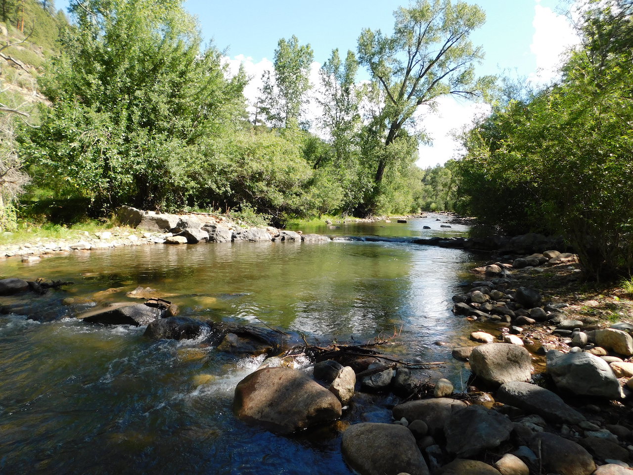 The Upper Pecos River running clear through the Sangre de Cristo foothills