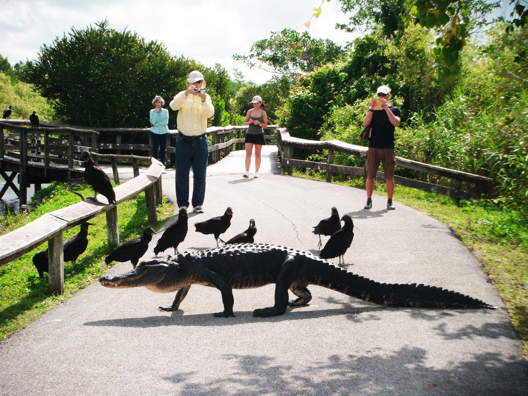 Everglades National Park