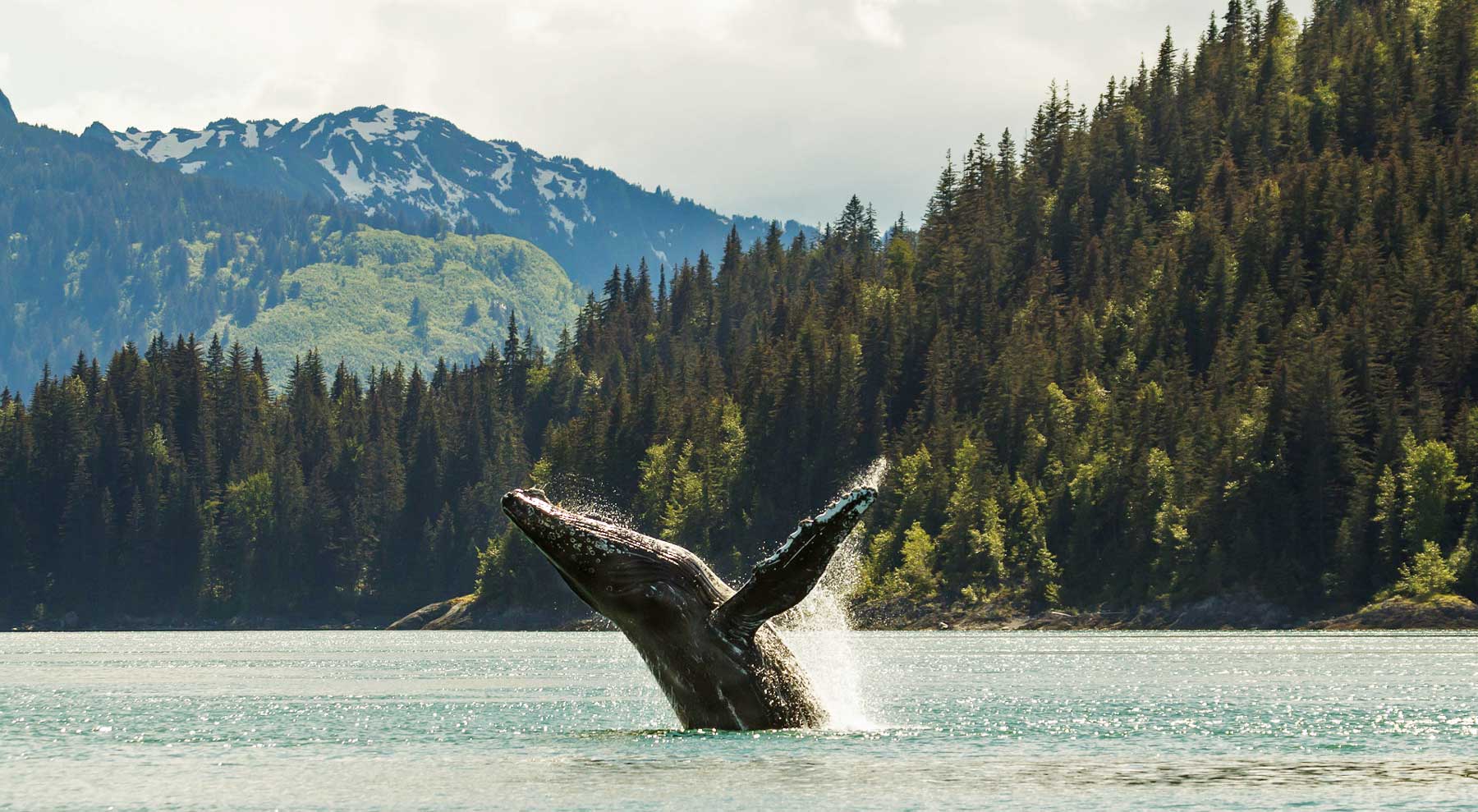 Glacier Bay National Park