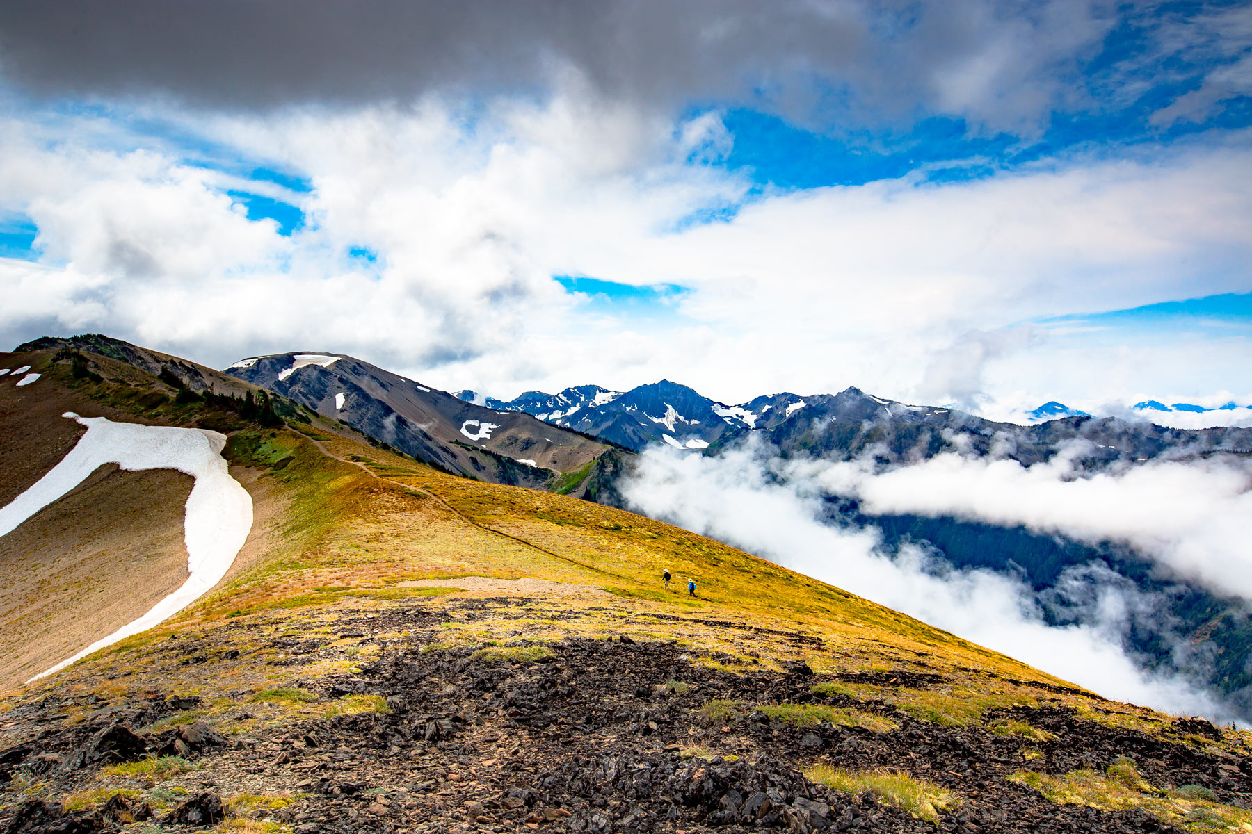 Olympic National Park
