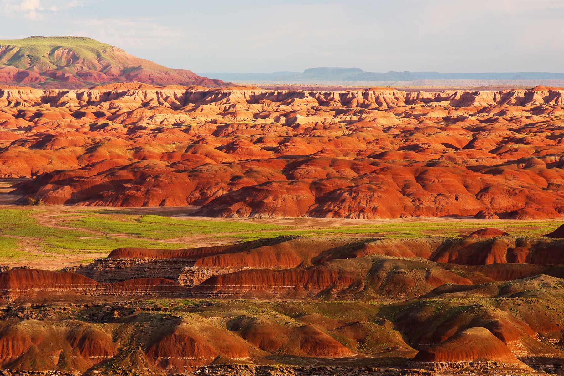 Petrified Forest National Park
