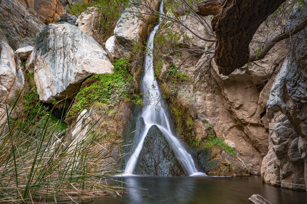 DARWIN FALLS: Yes, There is a Year-Round Waterfall at Death Valley