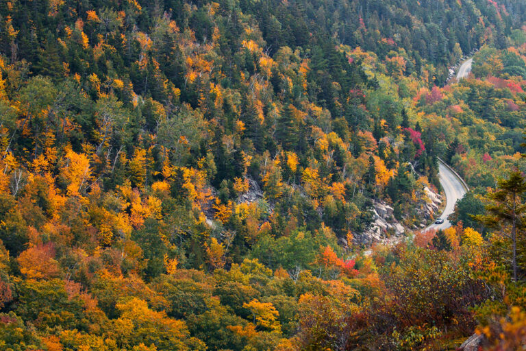 acadia national park maine fall road