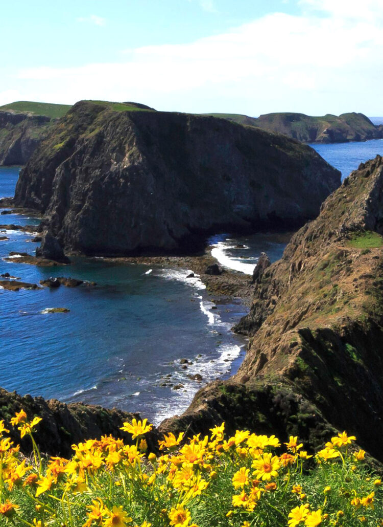 13 SURPRISING Channel Islands National Park Facts (Guide)