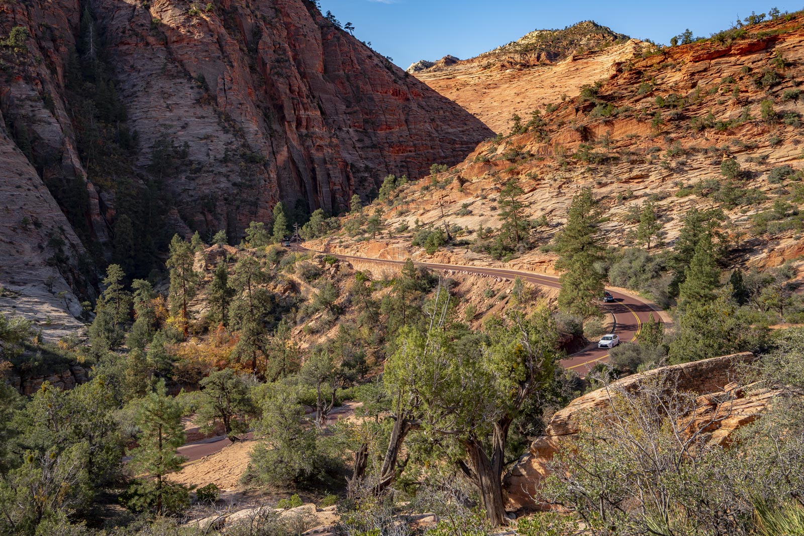 Zion Mt Carmel Highway Scenic Drive (Everything You Need to Know)