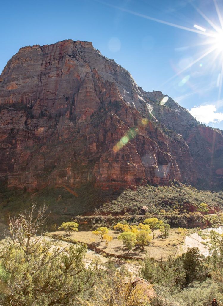 SUMMER in Zion National Park (Helpful Guide + Video)