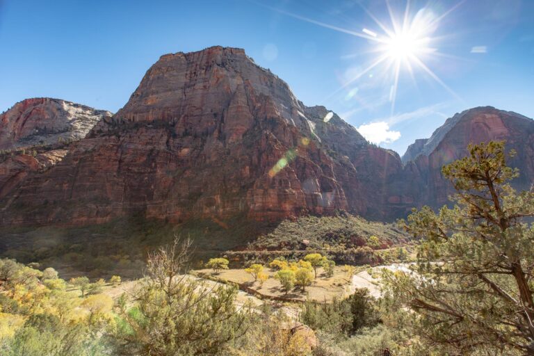 summer in zion