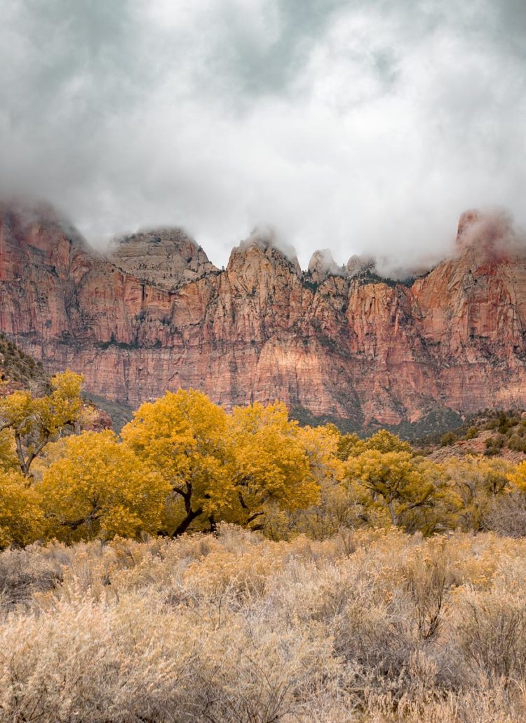 zion national park seasons more than just parks