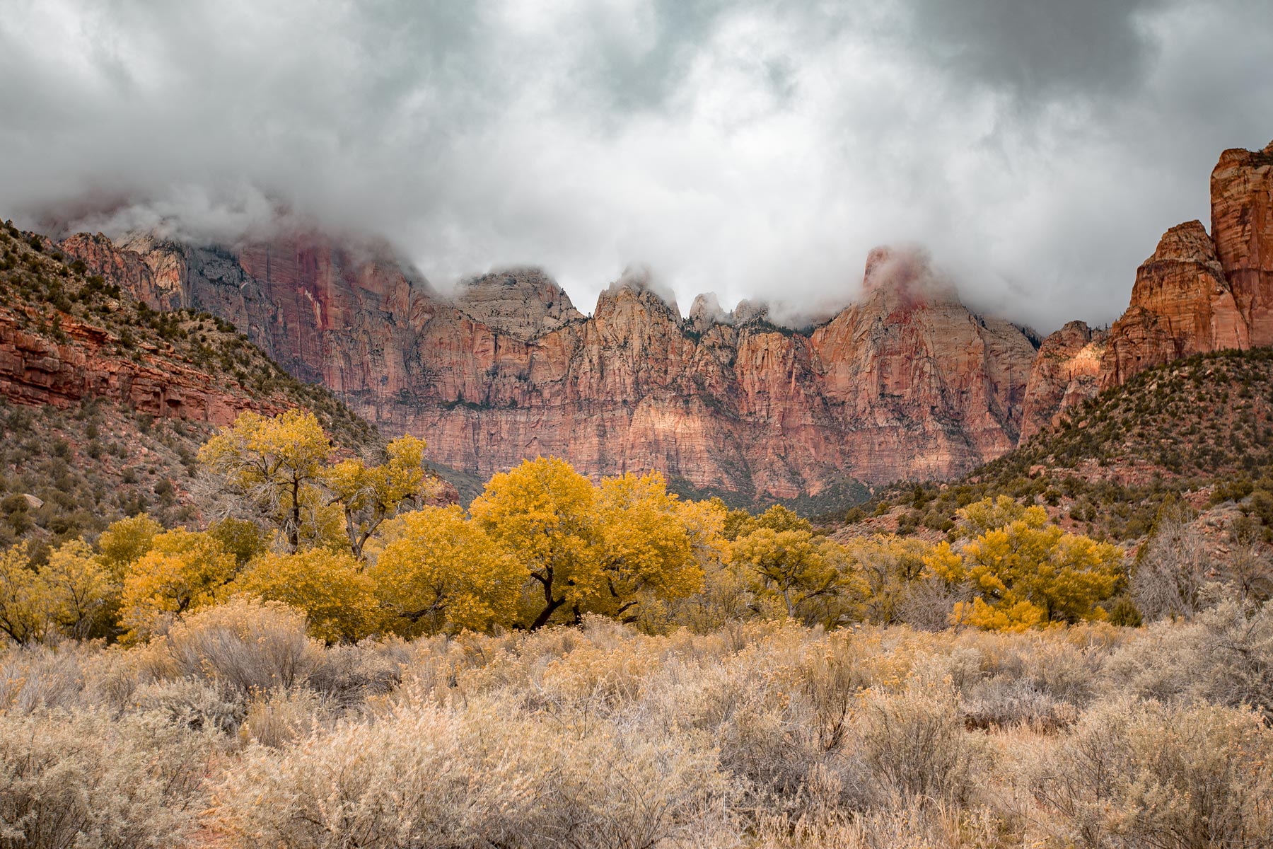 zion national park seasons more than just parks