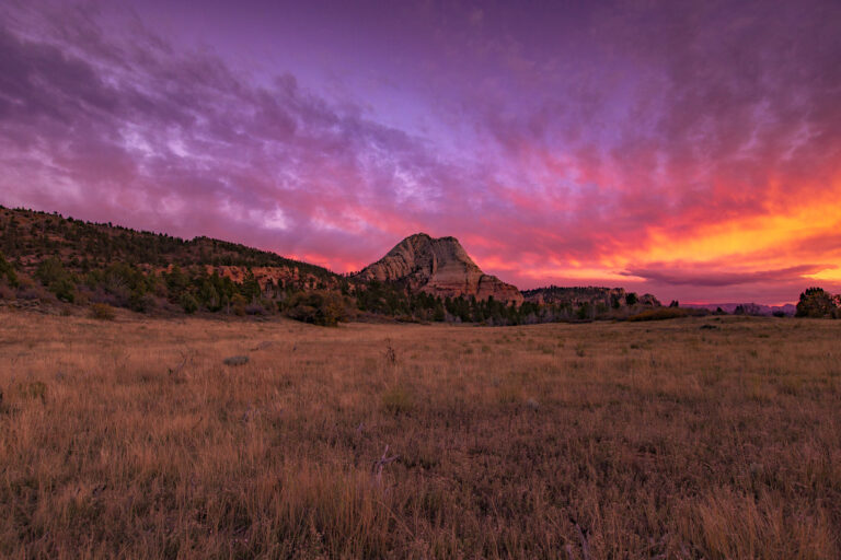 12 Fantastic Facts About Zion National Park