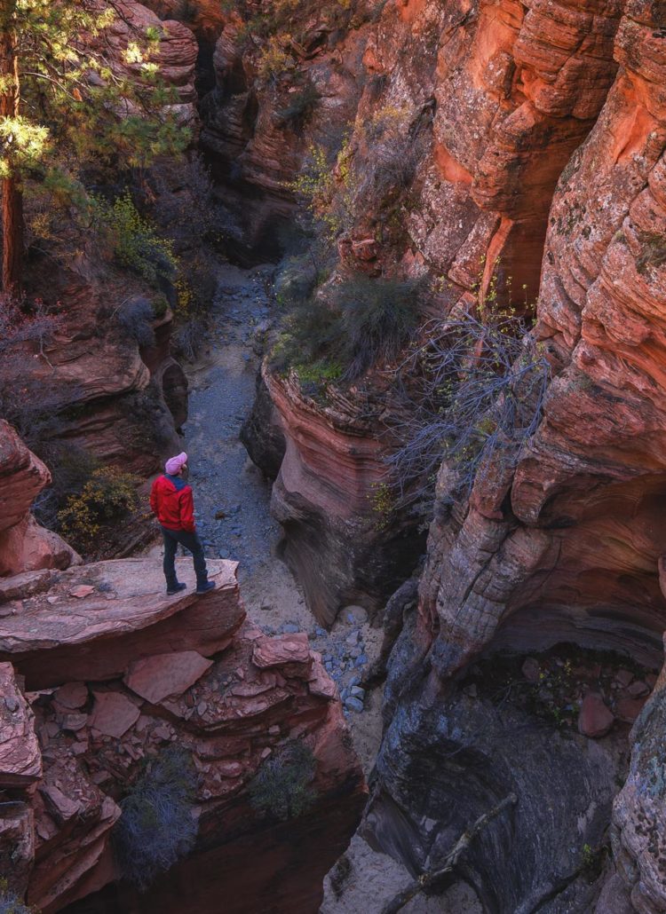 hiking in zion national park, best zion national park hikes