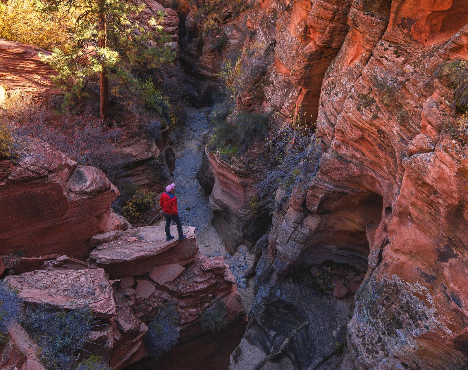 pine creek gorge slot canyon