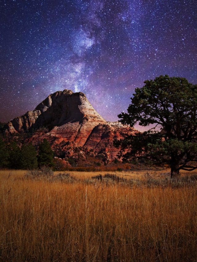 10 EPIC Things to Do in Zion National Park