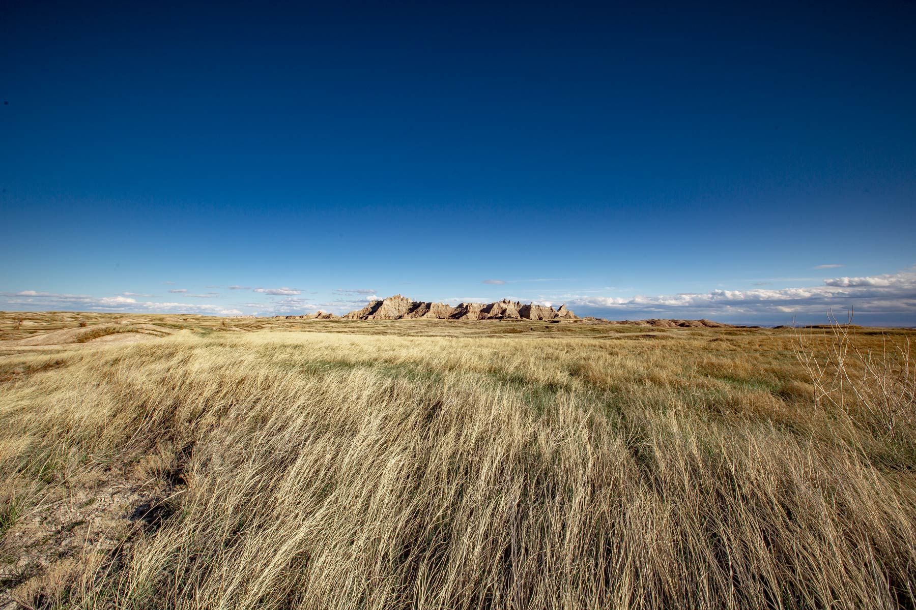 Prairie Wind Overlook